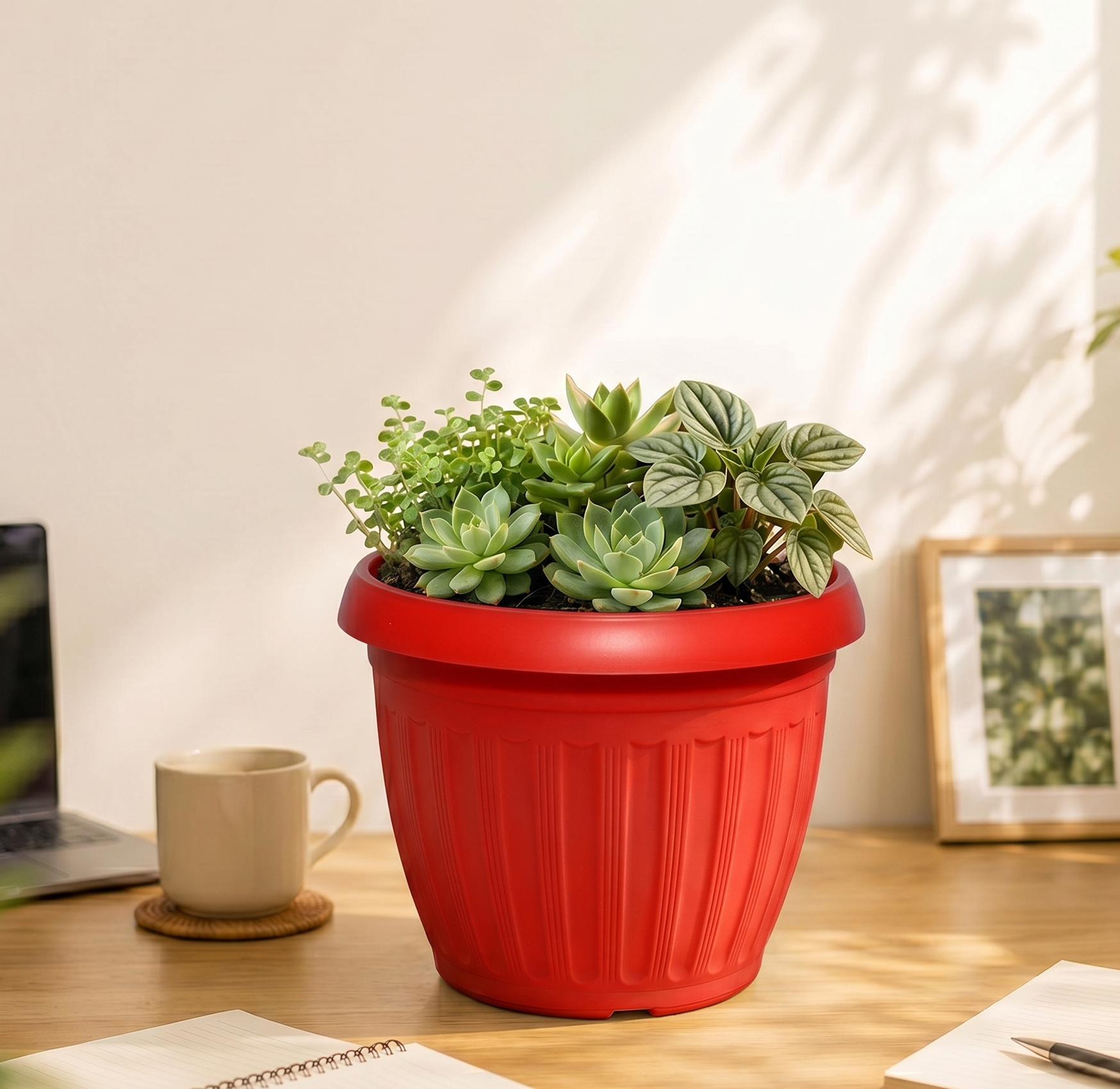 bách hợp đỏ tươi